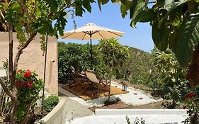 The Garden House, Sitia